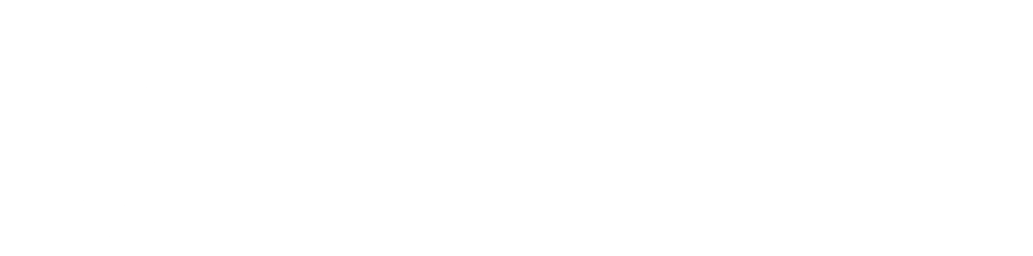 Chappaquiddick Island Association